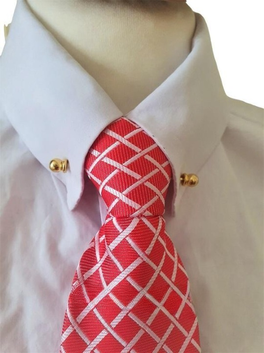 Adults Zip Ready Tied Showing Tie - Red/White Check